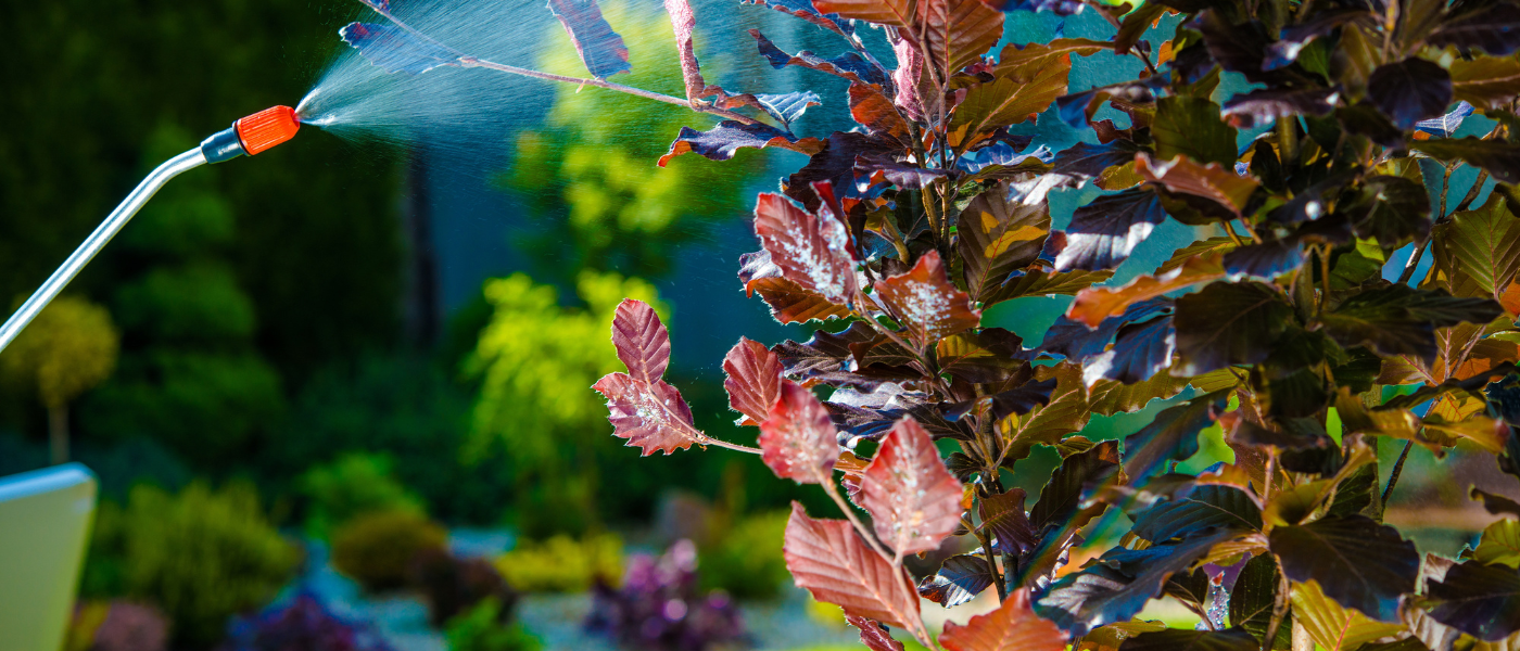 Controle de pragas na Agricultura: cientistas brasileiros criam solução ecológica inovadora para contribuir com a segurança alimentar mundial